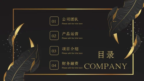 金叶子创业融资计划书商业通用PPT模板