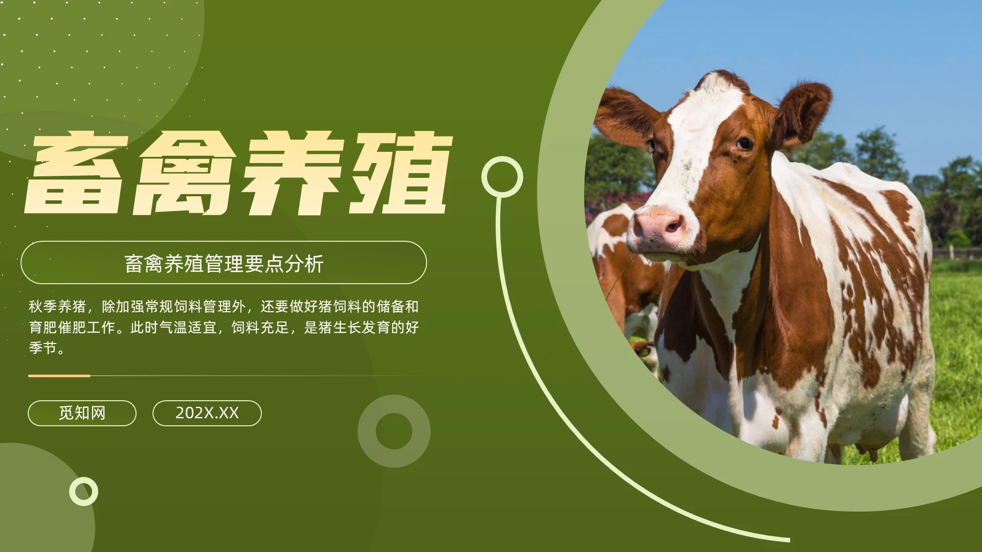 绿色简约畜禽养殖培训课件PPT