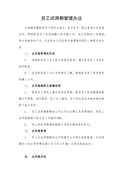 试用期管理办法及试用期考核表格.docx