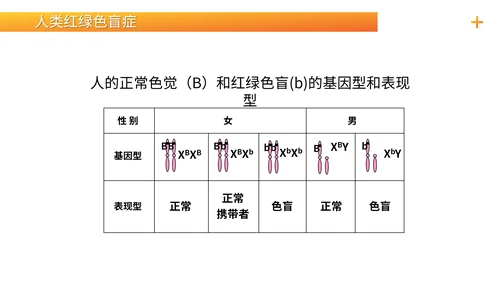 基因学伴性遗传初高中生物PPT课件