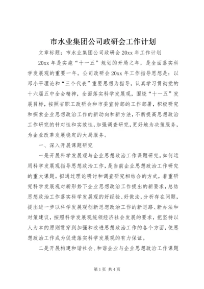 市水业集团公司政研会工作计划.docx