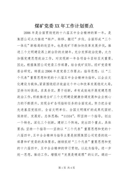煤矿党委XX年工作计划要点.docx