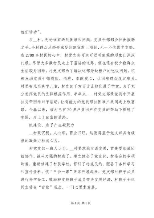 村党支部典型事迹材料.docx