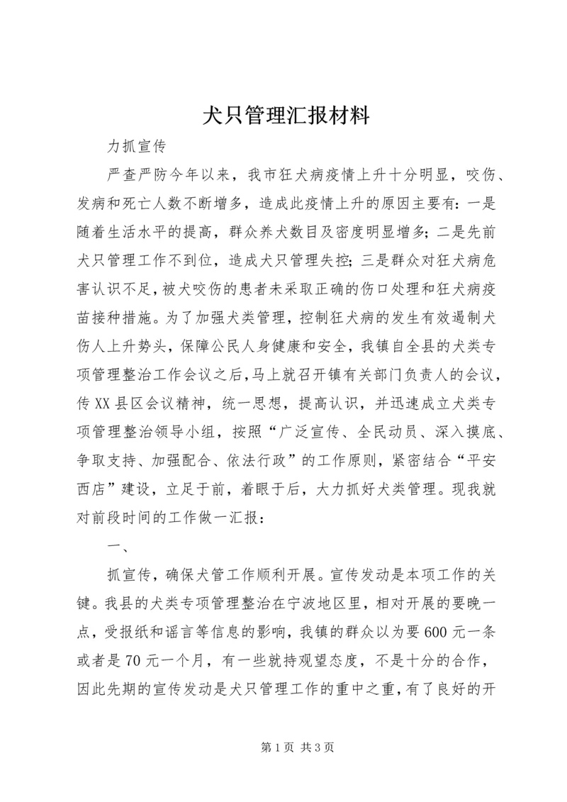 犬只管理汇报材料 (7).docx