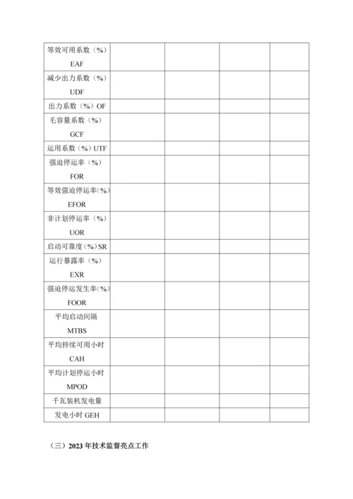 发电厂技术监督工作总结及工作计划.docx