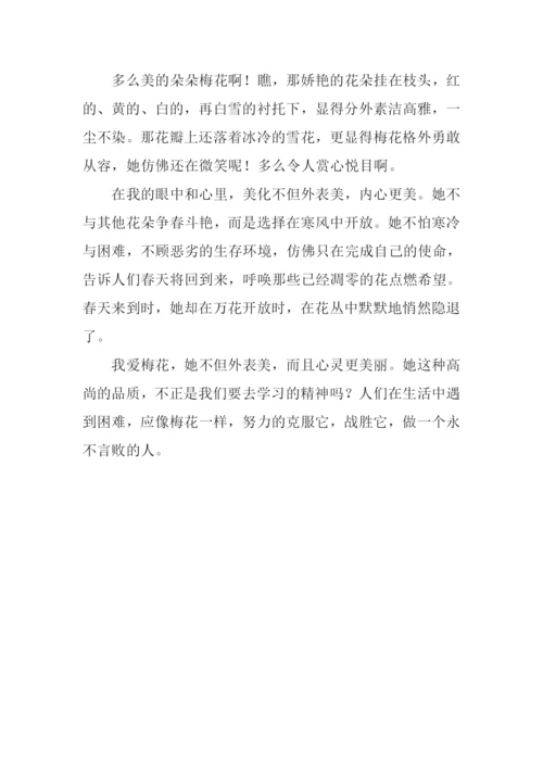 我爱梅花作文300字.docx