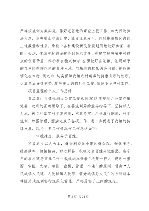 乡镇规划办公室工作总结.docx