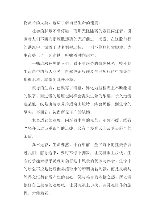 以速度为话题的议论文作文.docx