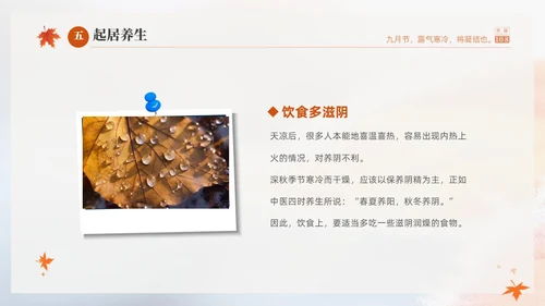 白色淡雅实拍风中国传统节气寒露节气介绍PPT