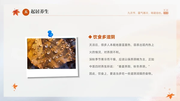 白色淡雅实拍风中国传统节气寒露节气介绍PPT