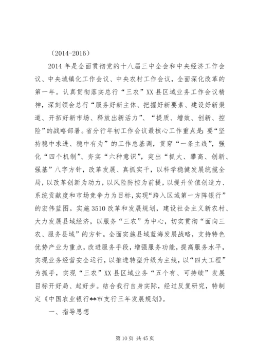 某支行的三年发展规划五篇范文.docx