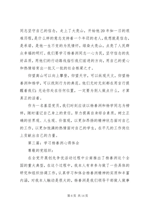 学习杨善洲心得体会(精选多篇).docx