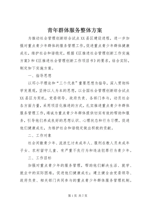 青年群体服务整体方案.docx