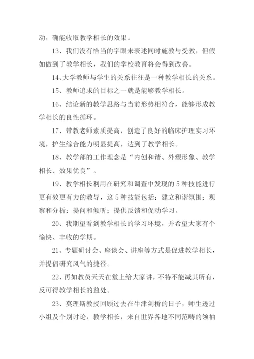 教学相长的意思.docx