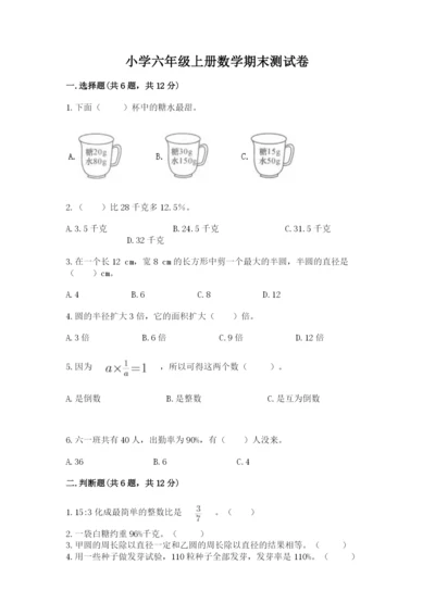 小学六年级上册数学期末测试卷（突破训练）word版.docx