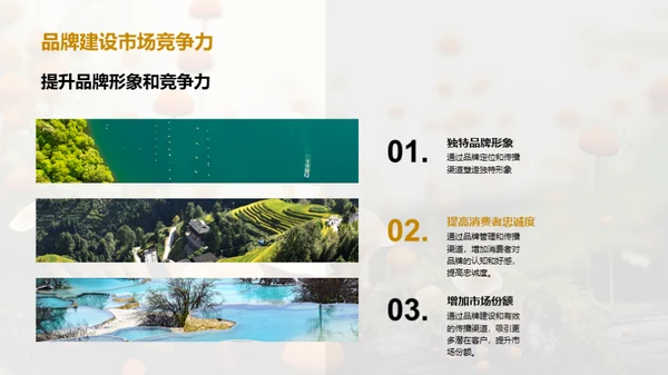 提升食用菌品牌力量