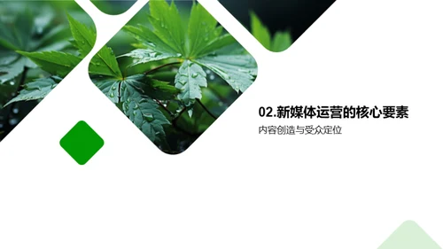 谷雨传播新实践