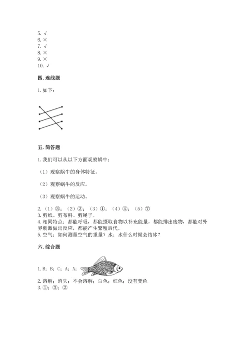 教科版一年级下册科学期末测试卷及参考答案（培优b卷）.docx