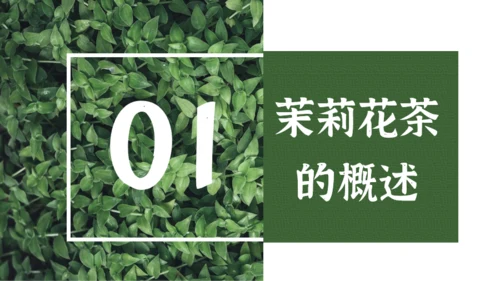 墨绿色中国风小清新茉莉花茶介绍PPT模板