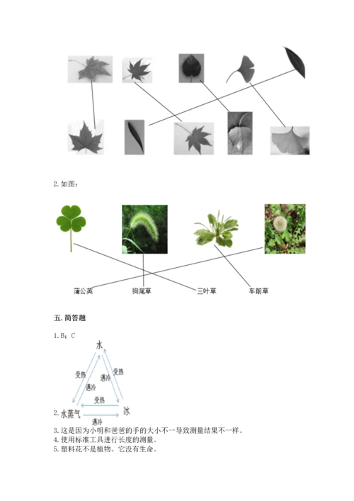 教科版一年级上册科学期末测试卷往年题考.docx