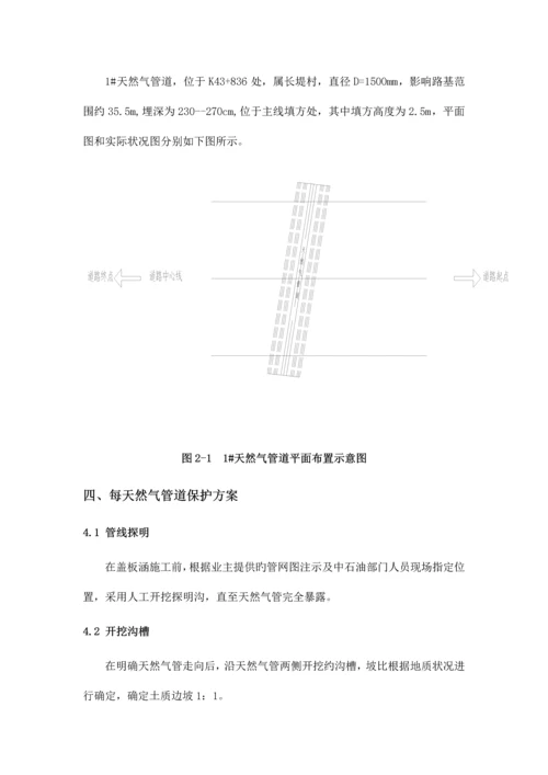 天然气管道保护专项方案.docx