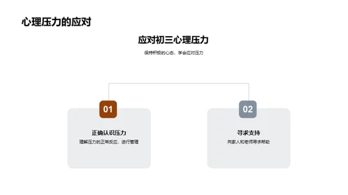 初三学习探秘