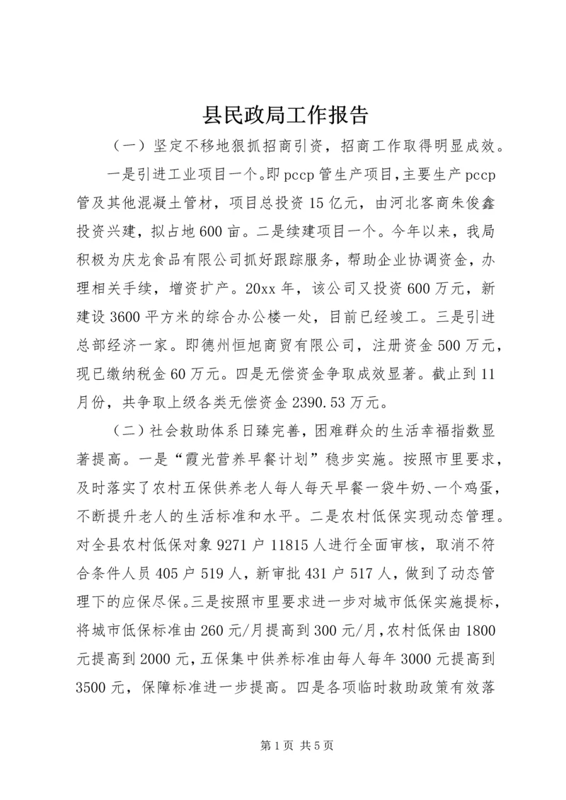 县民政局工作报告 (4).docx