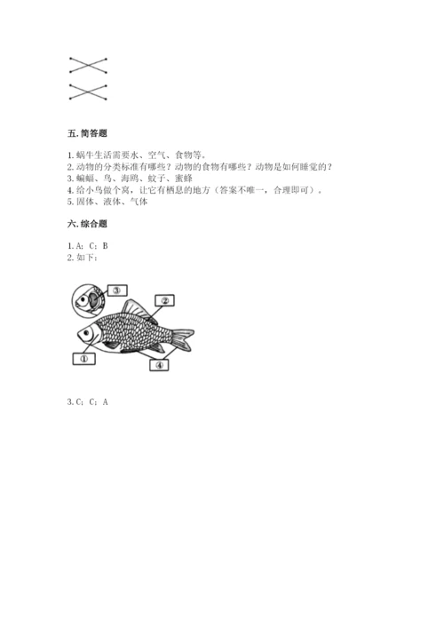 教科版一年级下册科学期末测试卷（全优）word版.docx