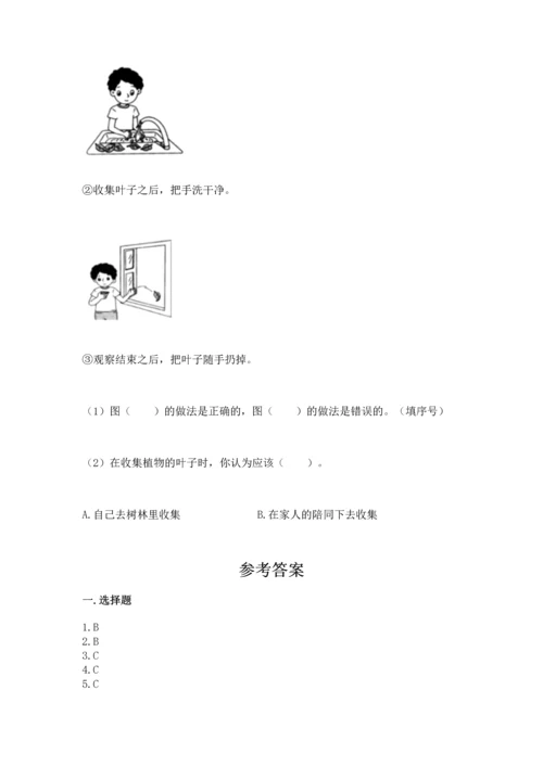 教科版一年级上册科学期末测试卷【名师系列】.docx