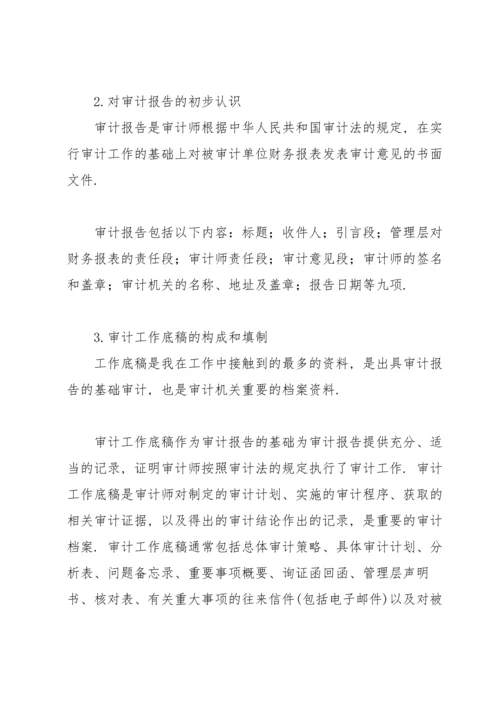 有关审计局实习报告4篇.docx