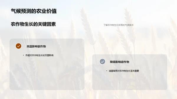 小暑气候与农业应用