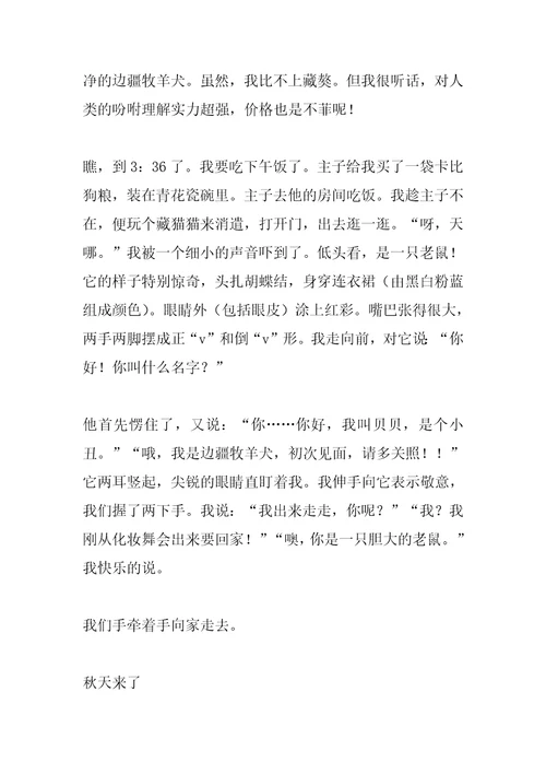 2022年边境牧羊犬作文