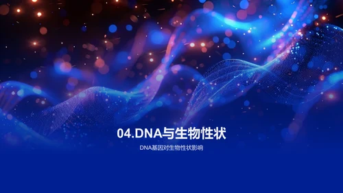 DNA结构与功能