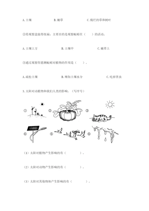 教科版科学二年级上册《期末测试卷》及完整答案【网校专用】.docx