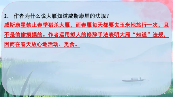 19《大雁归来》课件