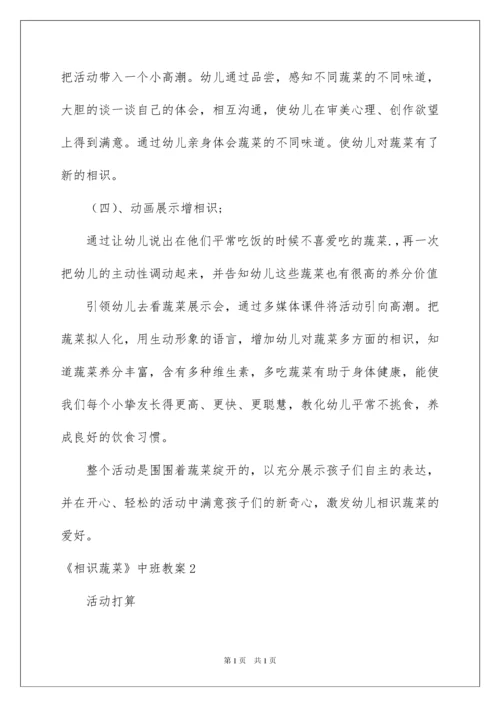 2022《认识蔬菜》中班教案.docx