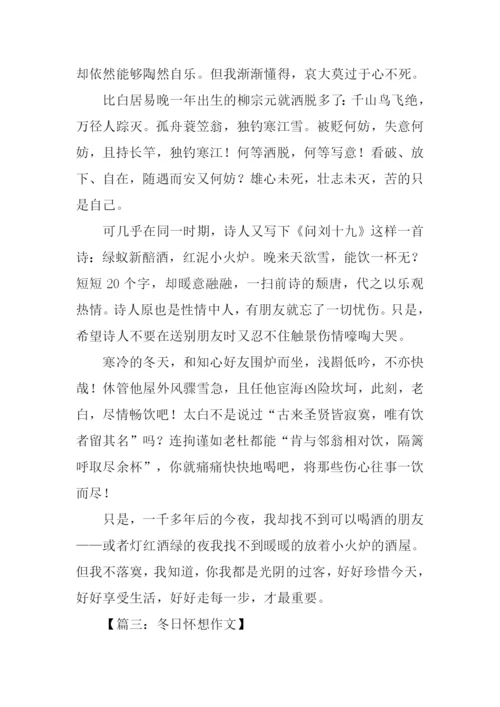 冬天的怀想作文.docx