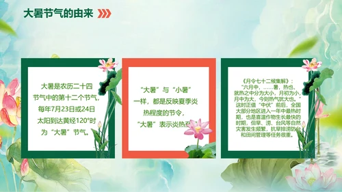 国风荷花二十四节气大暑教学PPT课件