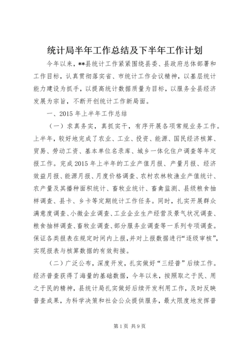 统计局半年工作总结及下半年工作计划精编.docx