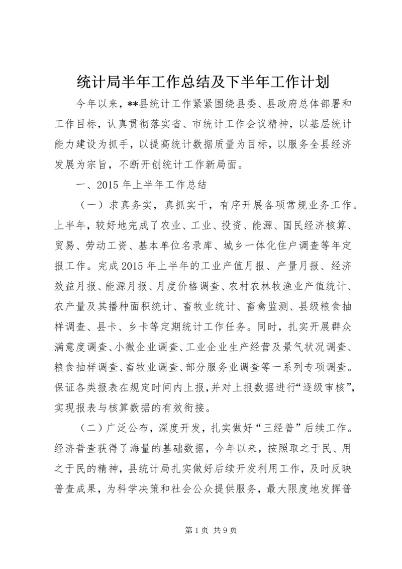 统计局半年工作总结及下半年工作计划精编.docx