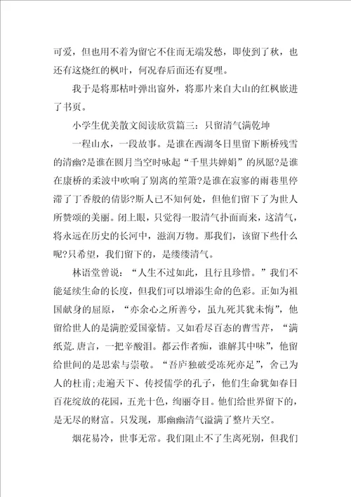 小学生优美散文阅读欣赏