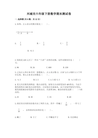 兴城市六年级下册数学期末测试卷审定版.docx