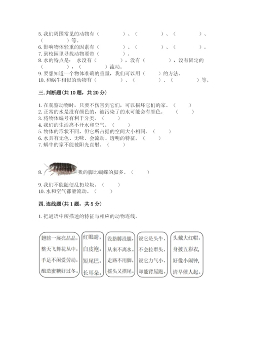 教科版一年级下册科学期末测试卷附答案【精练】.docx