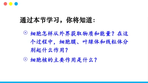 人教版（新课程标准）（2024）1.2.4细胞的生活(共41张PPT)