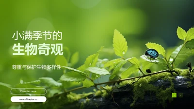 小满季节的生物奇观