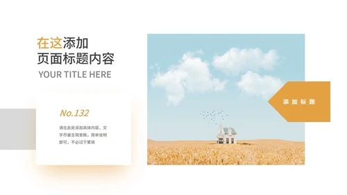 黄色简约风社会实践报告PPT模板