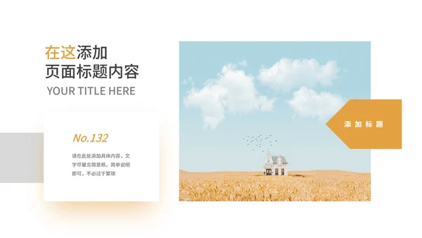 黄色简约风社会实践报告PPT模板