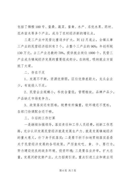 乡镇民营经济工作总结.docx