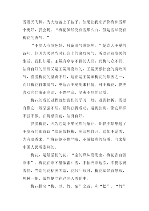 我爱梅花作文.docx