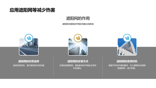 大暑农业气象解析